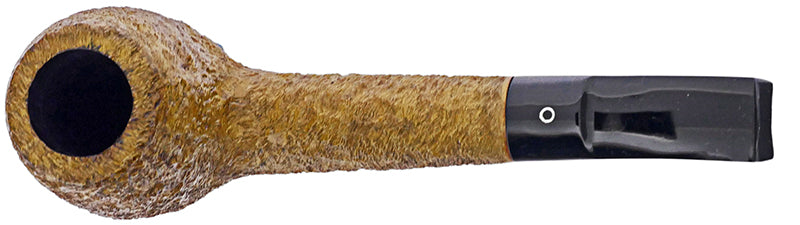 Northern Briars Quaynt # 17