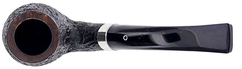 Northern Briars "Swan'  # 20