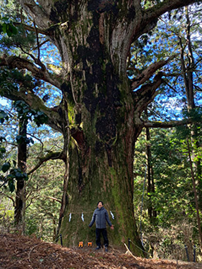 Tatsuo Tajima Volcano 'shide' # 25